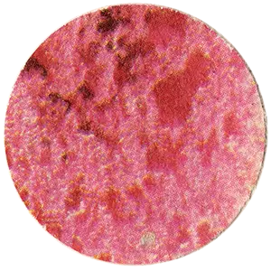 Orbit image